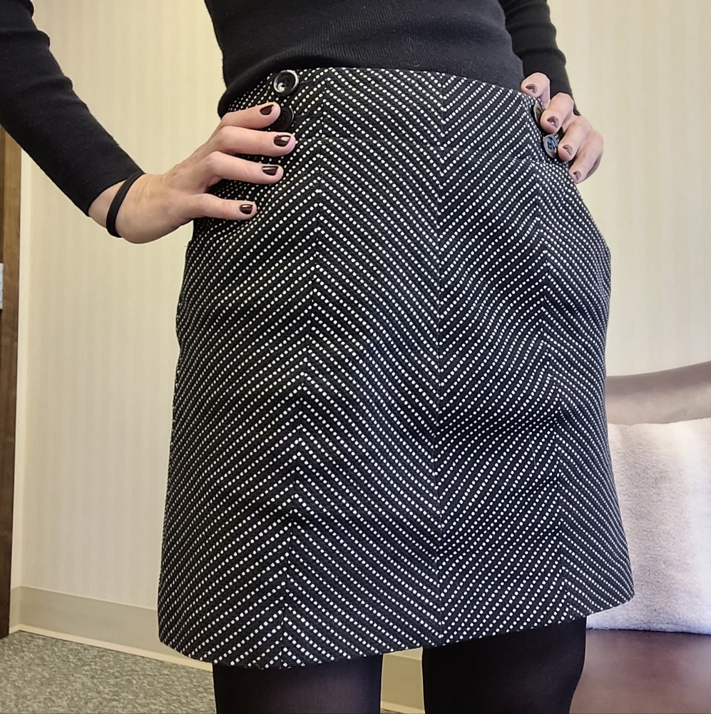 Ann Taylor Skirt
